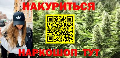 сатива Обнинск
