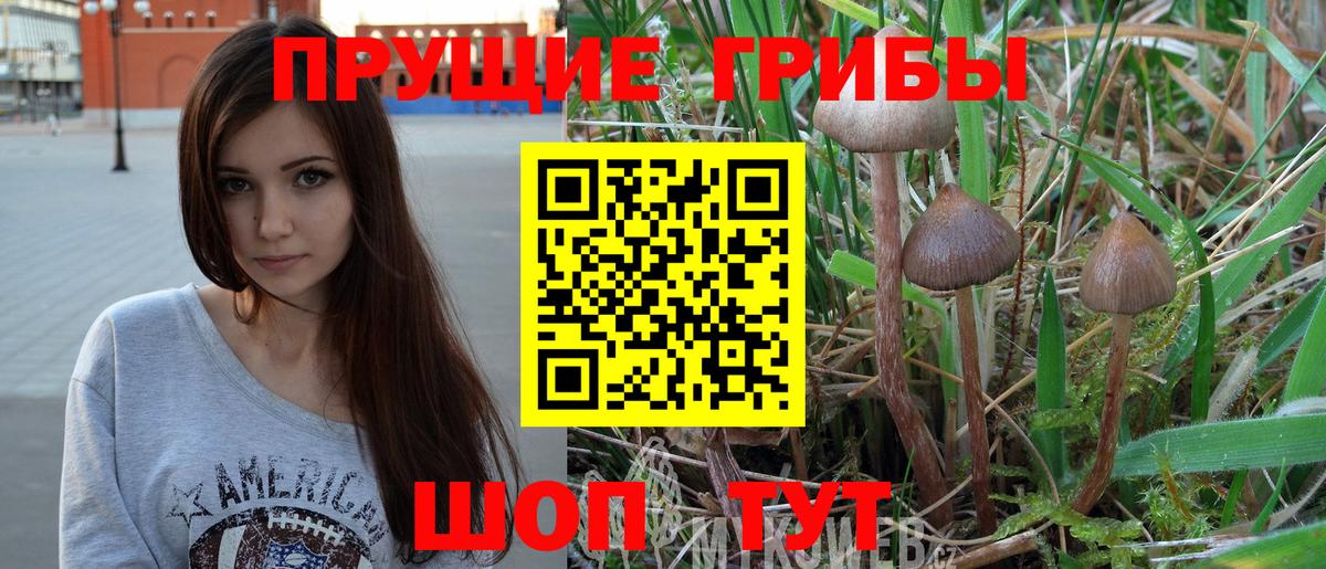 Ялта  Псилоцибиновые грибы Magic Shrooms  как найти закладки  Вход с VPN  Галлюциногенные грибы Psilocybine cubensis 