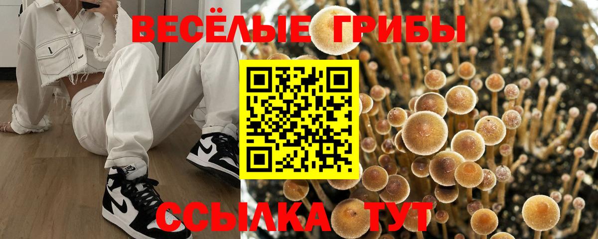 Галлюциногенные грибы ЛСД Ялта